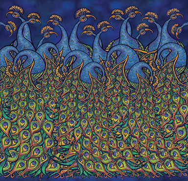 Peacock Prints